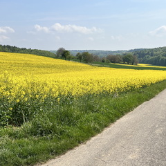 22-05-02 11-57-21 0713